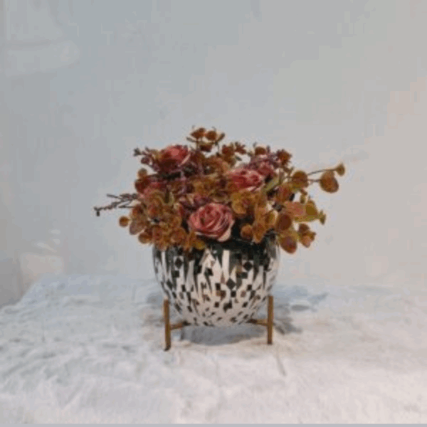1755274723_Web_image-1.png