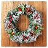 1760957339_81WcvxwdHL._UF8941000_QL80_-1.jpg Winter Holiday Door Decoration