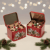 1760958834_Gemini_Generated_Image_5xzi295xzi295xzi-1.png Charming Christmas Cookie Tins